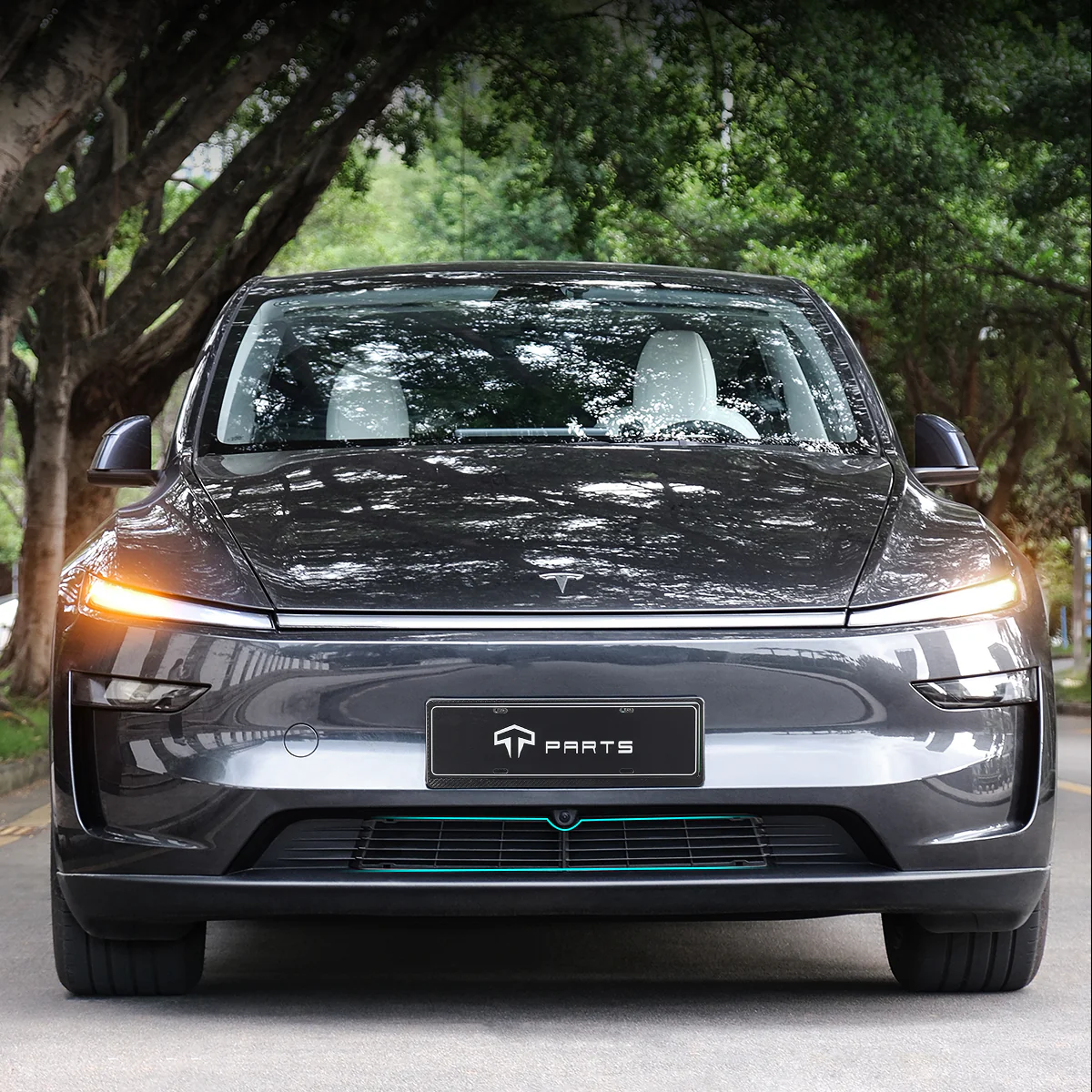 Front Grille Mesh Radiator Cover for Model Y (Dual Section) - Image 4